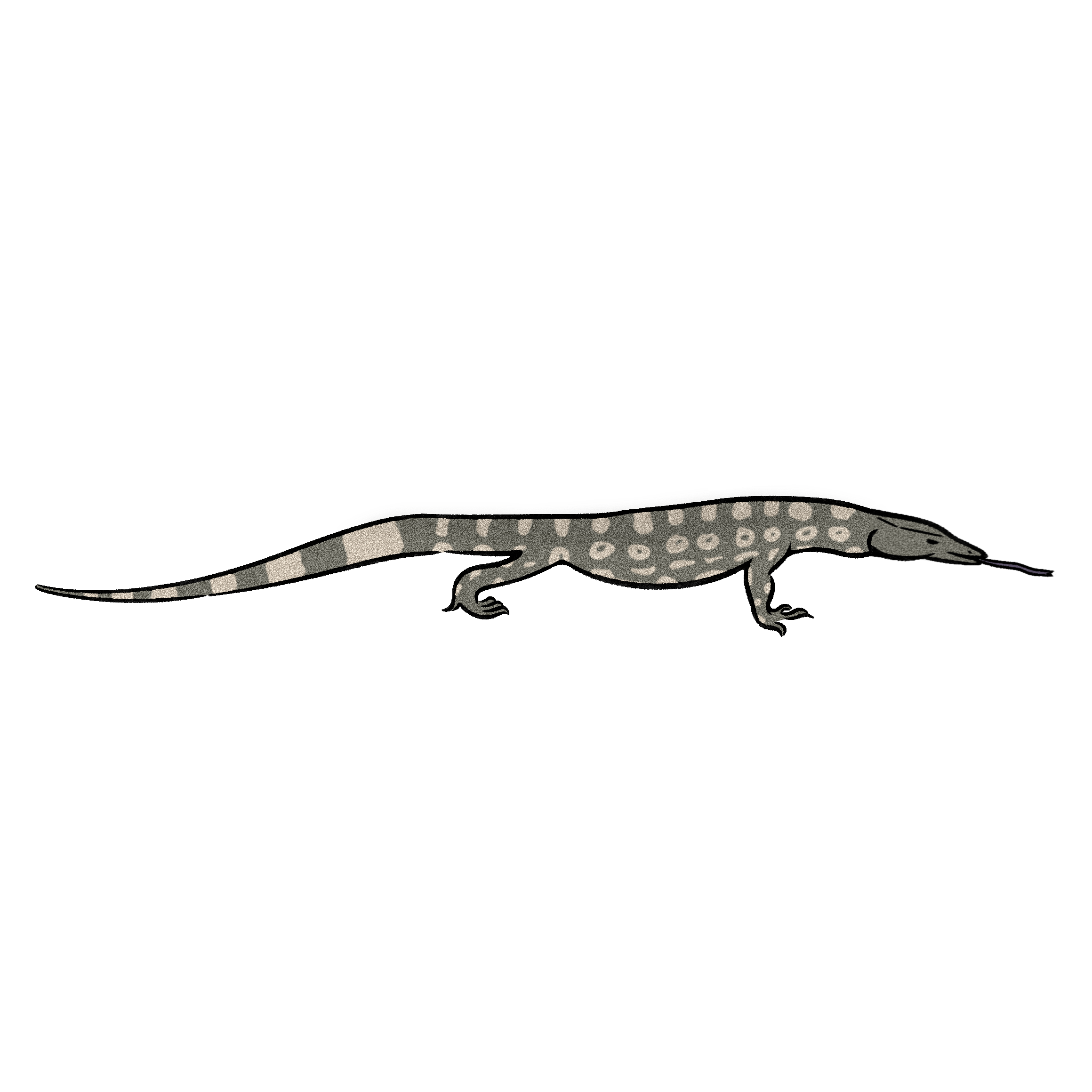 オオトカゲ