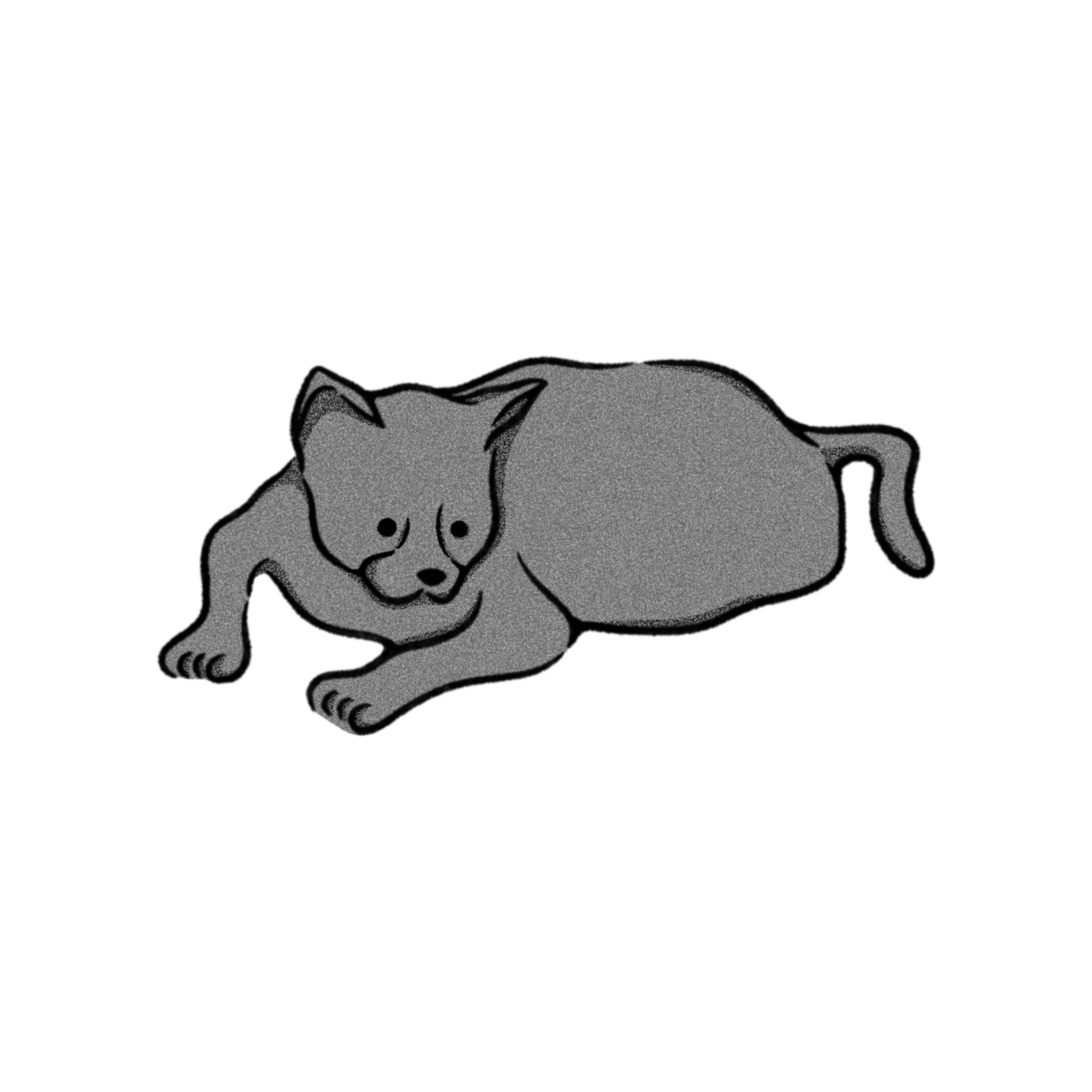 タイで出会った黒猫ちゃん