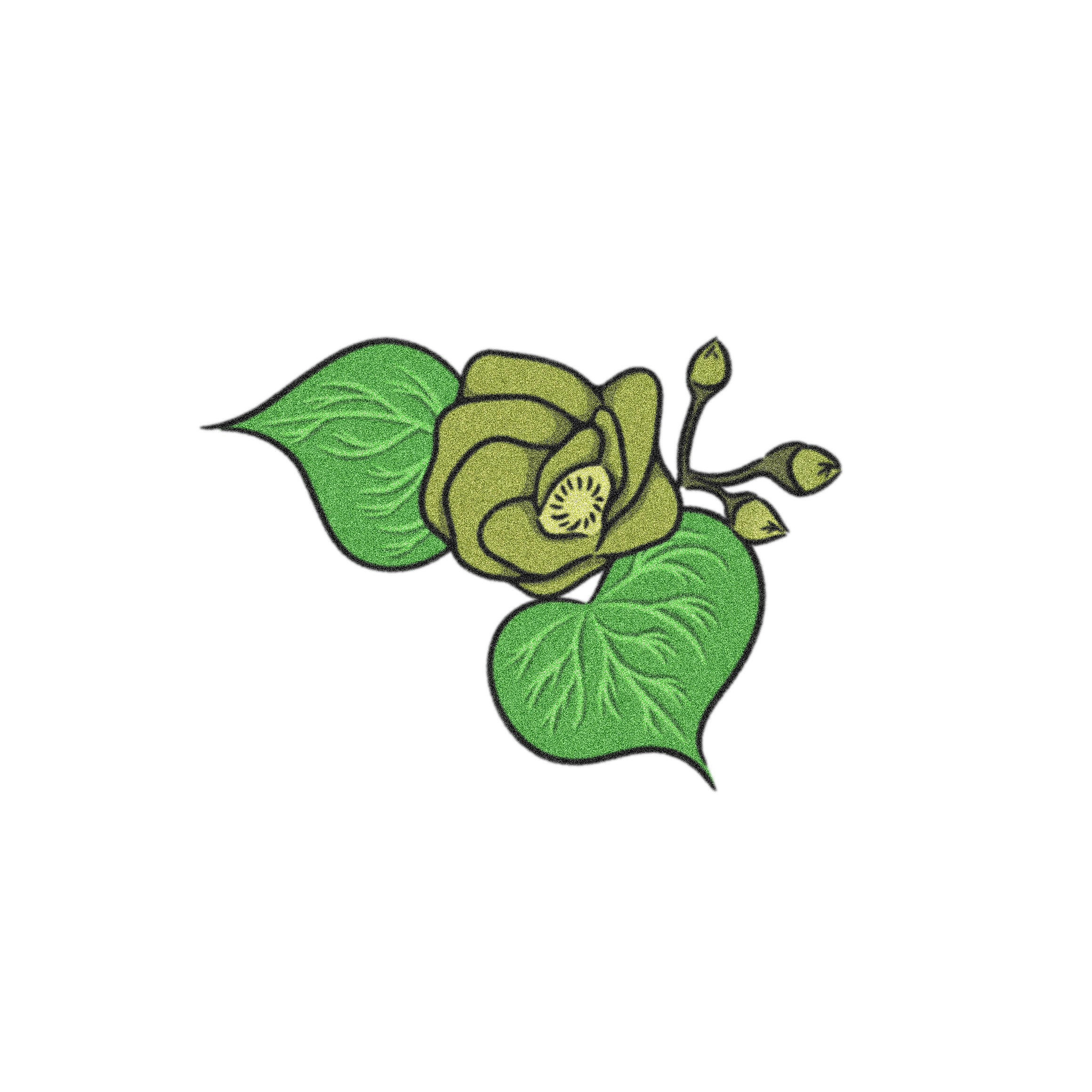 花