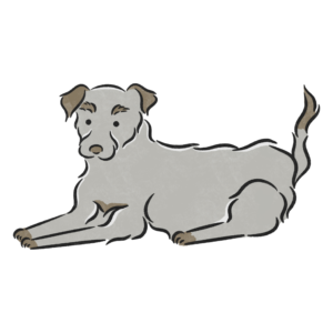 犬
