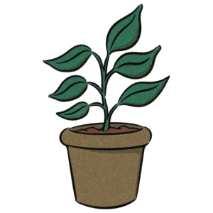 観葉植物