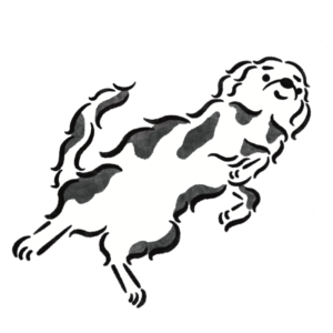 へそ天の犬