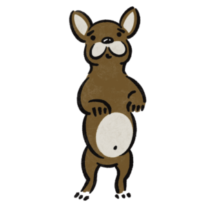 パグ