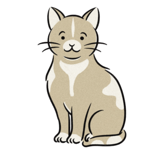 猫