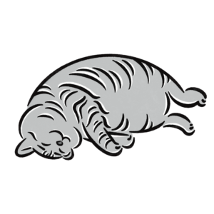 猫