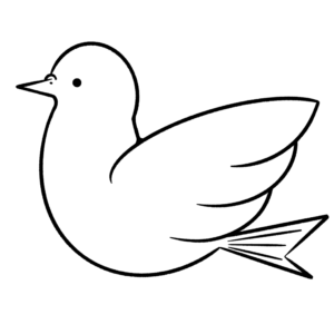 鳩