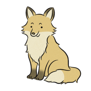 狐